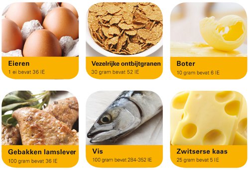 Wat is de rol van vitamine D bij osteoporose? - Dossier Osteoporose en rol van Vitamine D | Gezondheidsplein.nl